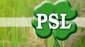 PSL  - Polskie Stronnictwo Ludowe